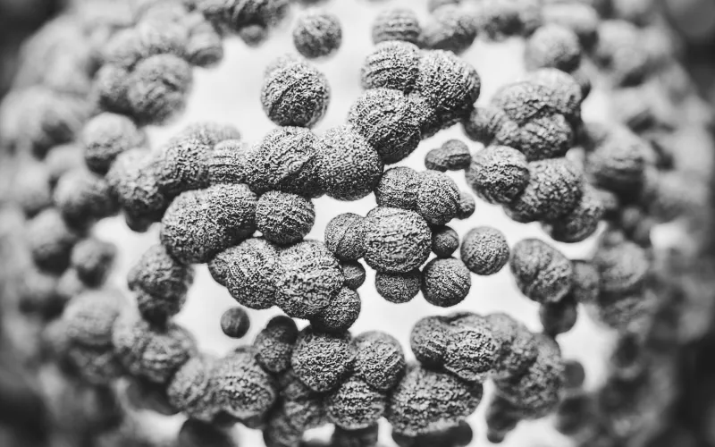 The Clock Starts Sooner Than You Think: A Neurobiological Look at Nootropic Tolerance