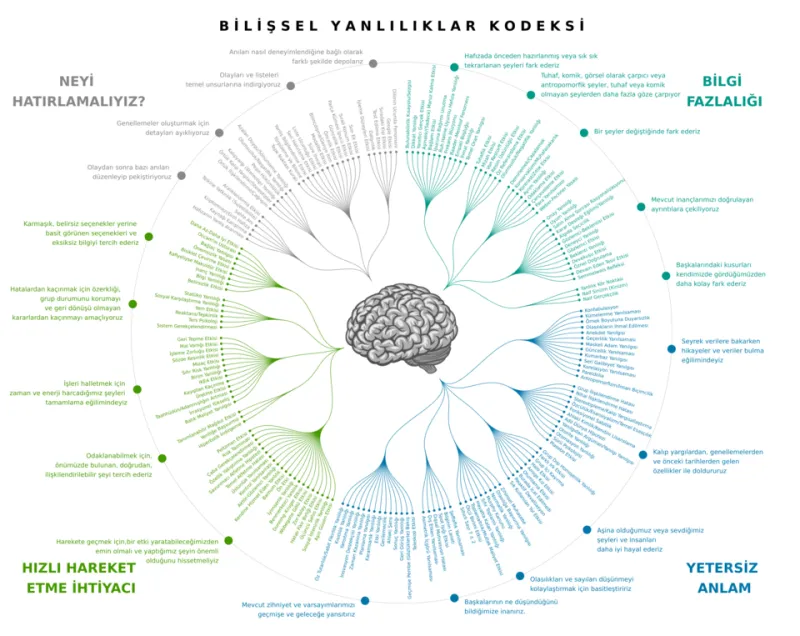 Belief, Bias, and Brain Supplements: Unpacking the Placebo Problem in Nootropics
